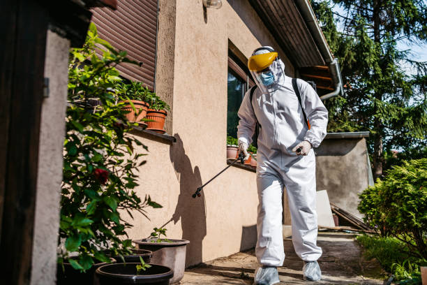 Best Bed Bug Extermination  in Perry, LA