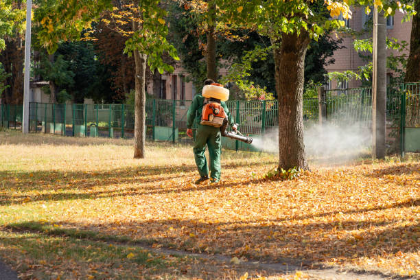 Best Mosquito Control Services  in Perry, LA
