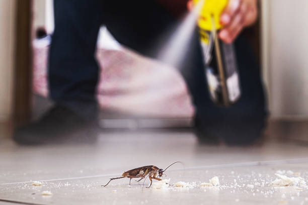Trusted Perry, LA Pest Control Experts