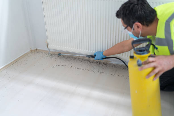 Best Exterminator Services  in Perry, LA