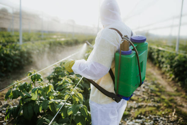 Best Pest Removal Services  in Perry, LA